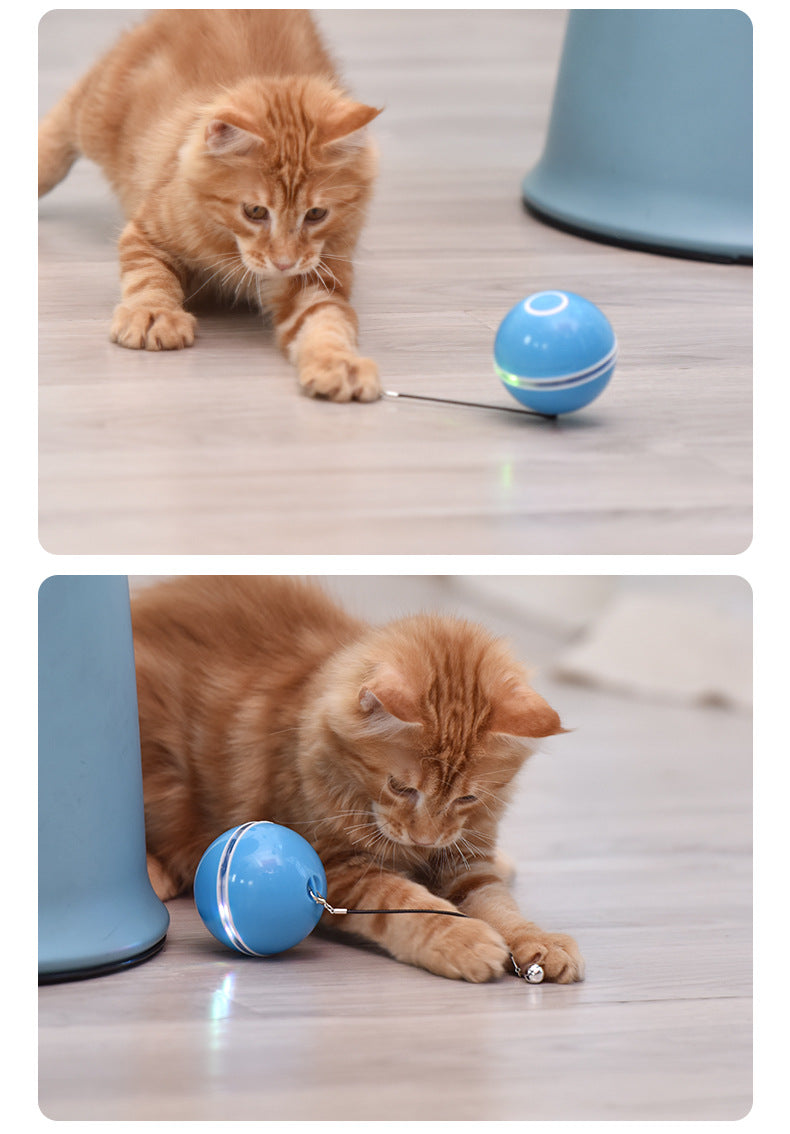 Giocattolo elettrico per gatti con luci LED, divertente e colorato