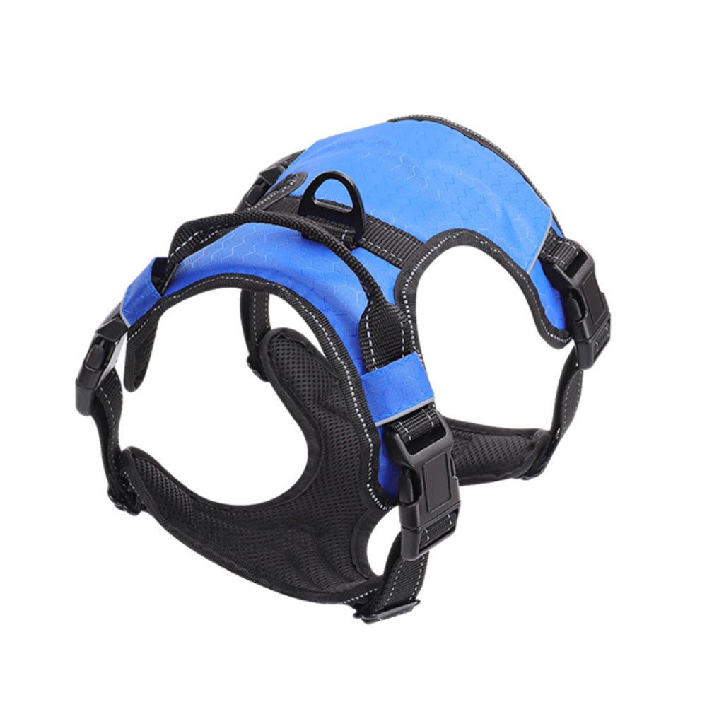 Guinzaglio con pettorina (tipo gilet) riflettente per cani