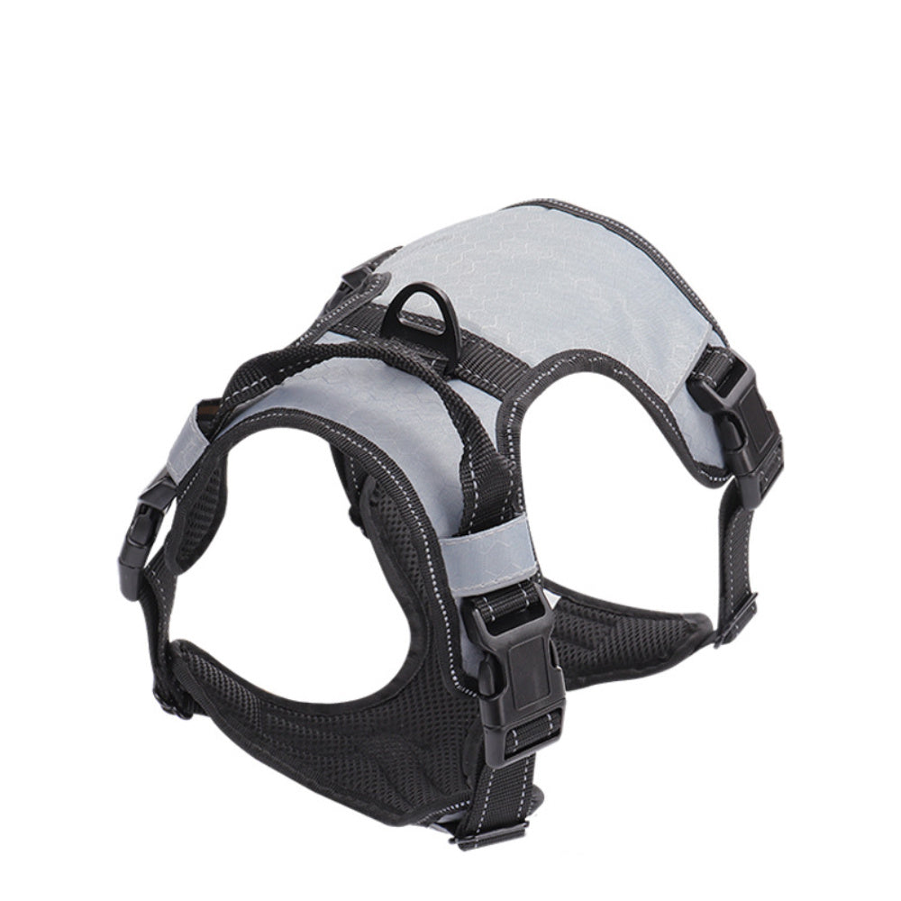 Guinzaglio con pettorina (tipo gilet) riflettente per cani