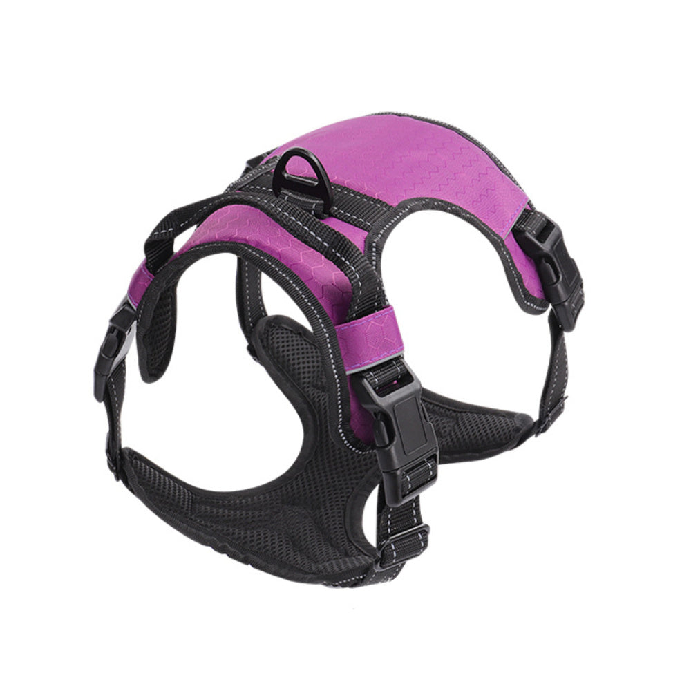 Guinzaglio con pettorina (tipo gilet) riflettente per cani