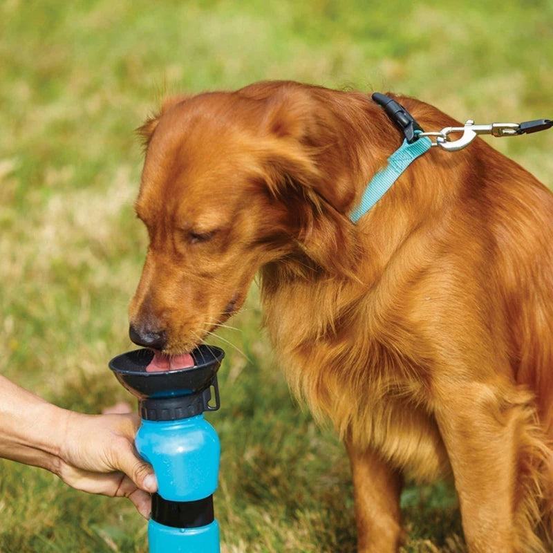 Bottiglia d'Acqua Portatile per Cani – Perfetta per le Passeggiate