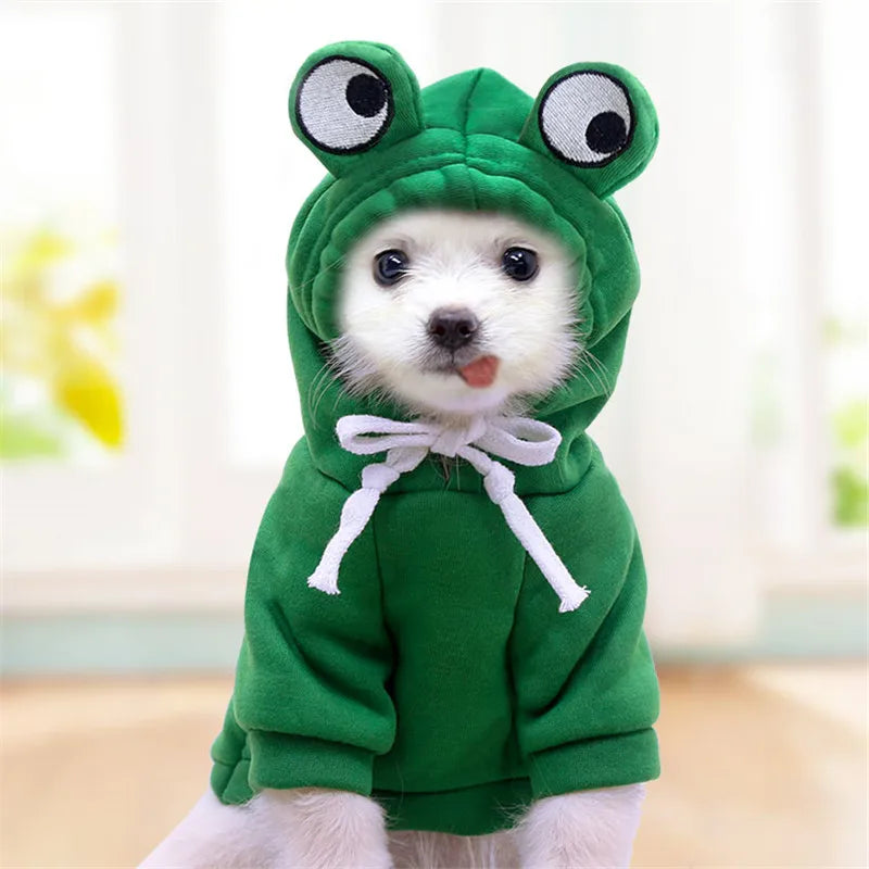 Abbigliamento cute