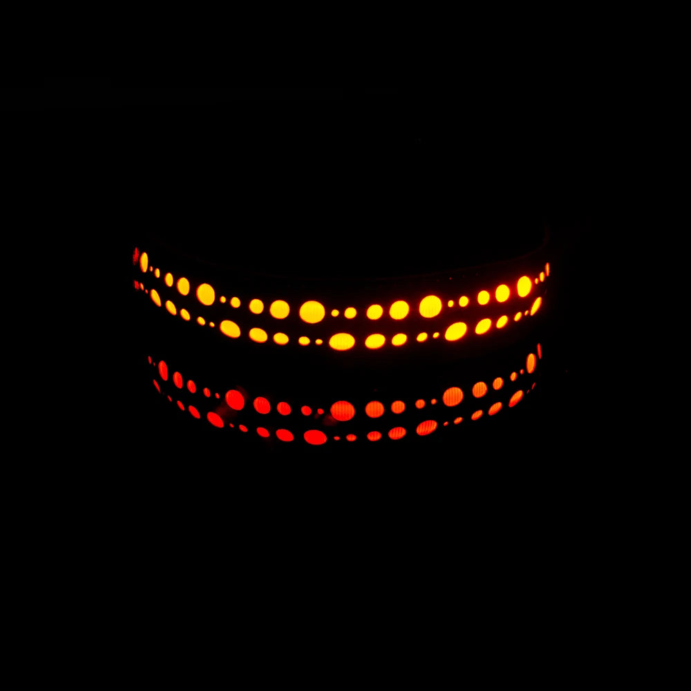 Collare Luminoso con Fantasia per Cani