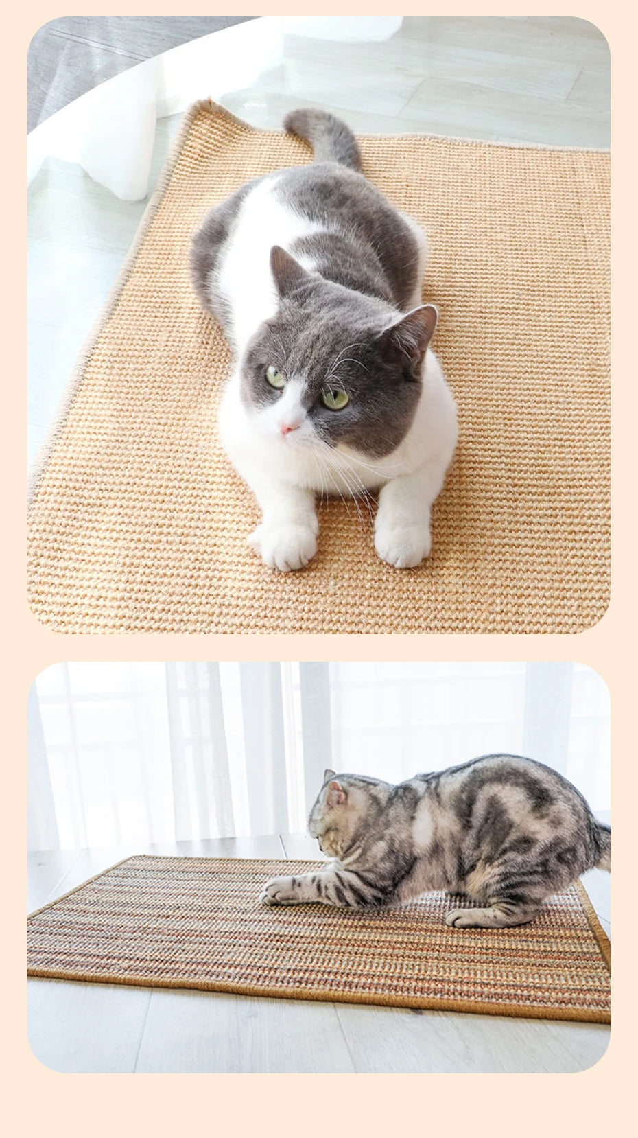 Zerbino protettivo per artigli di gatto