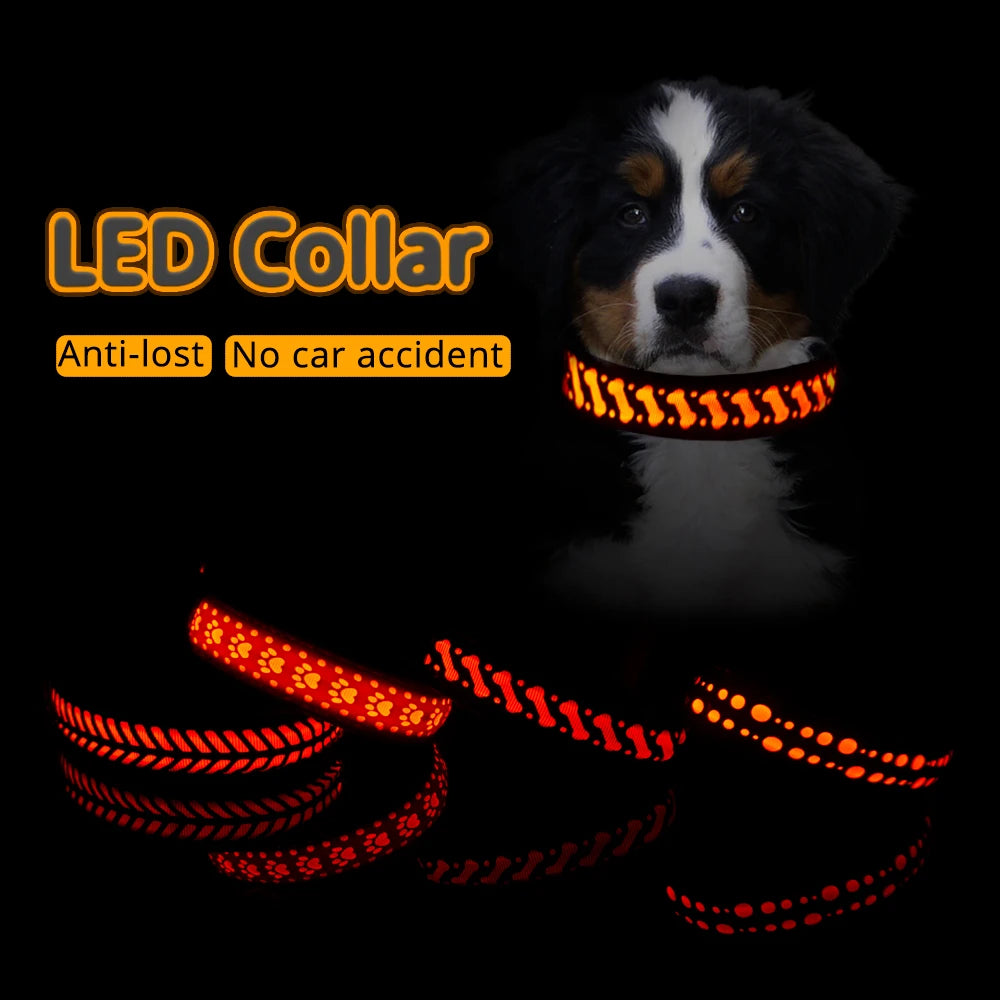 Collare Luminoso con Fantasia per Cani