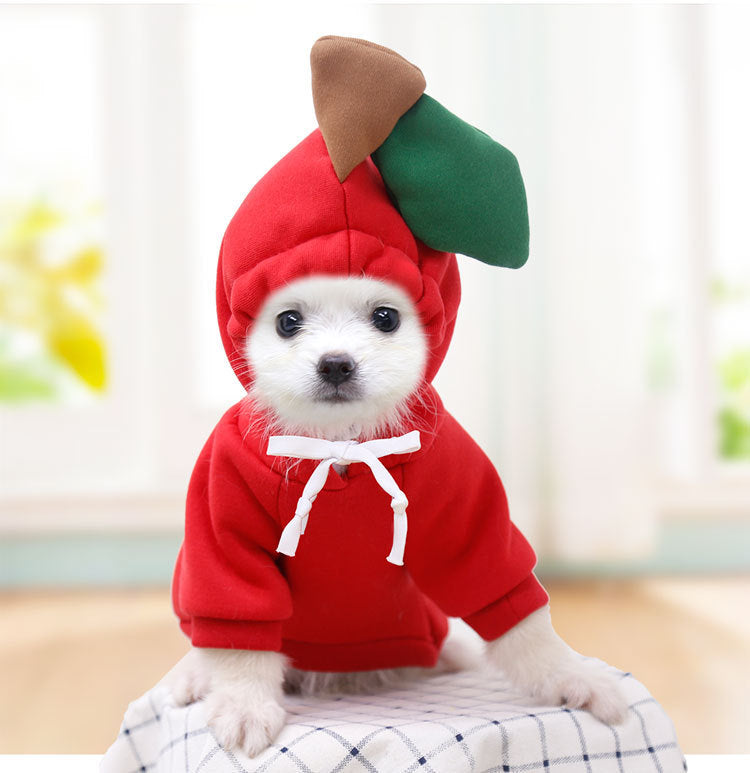 Abbigliamento cute