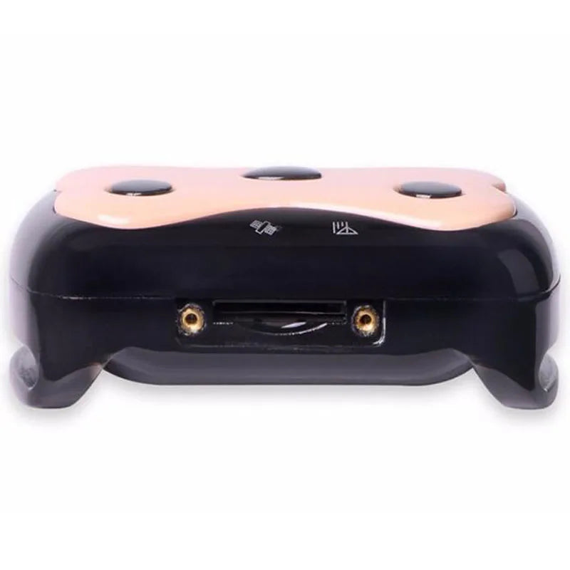 Collare Localizzatore GPS GSM Mini per Animali – Impermeabile