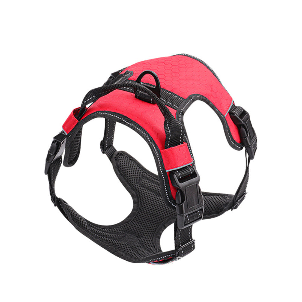 Guinzaglio con pettorina (tipo gilet) riflettente per cani