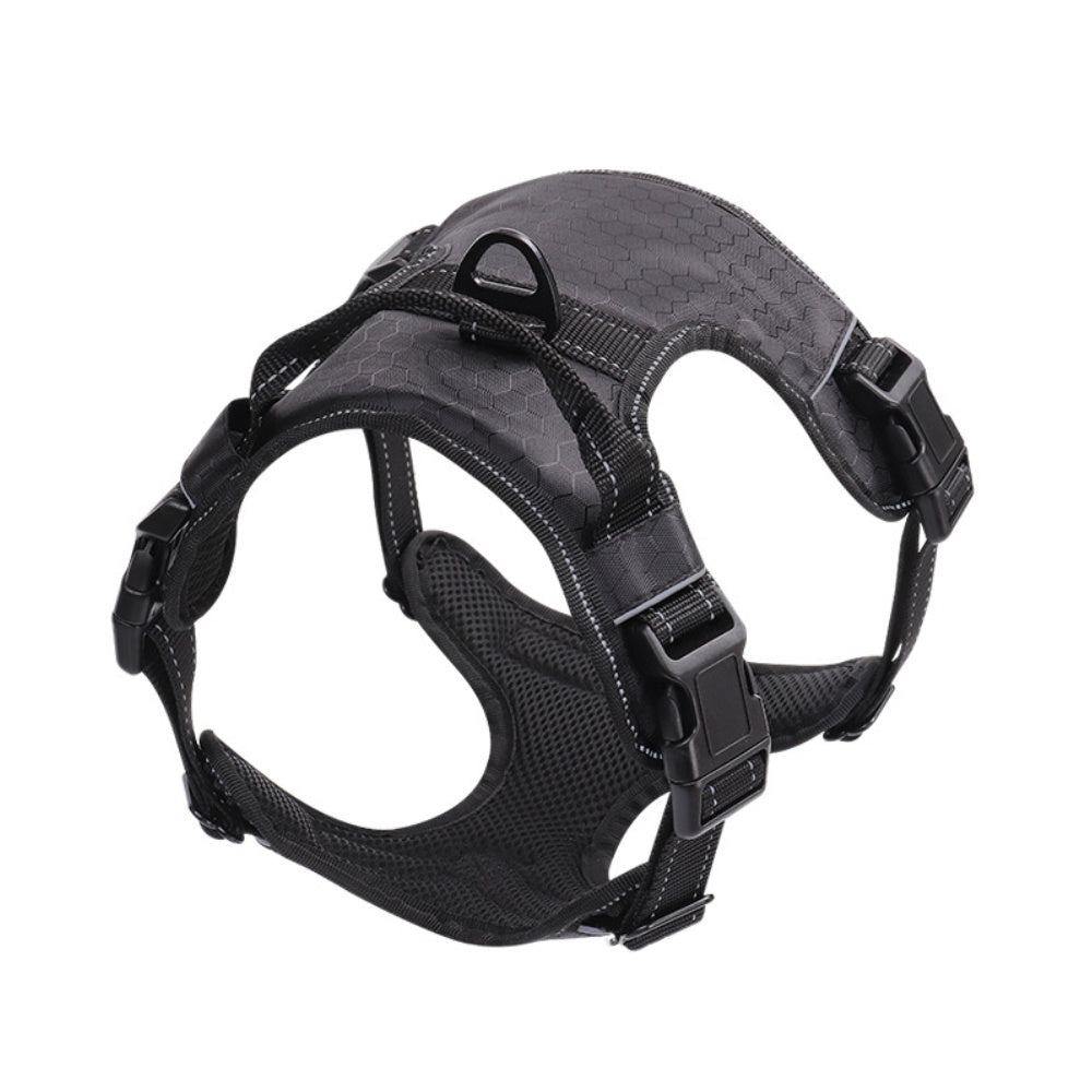Guinzaglio con pettorina (tipo gilet) riflettente per cani