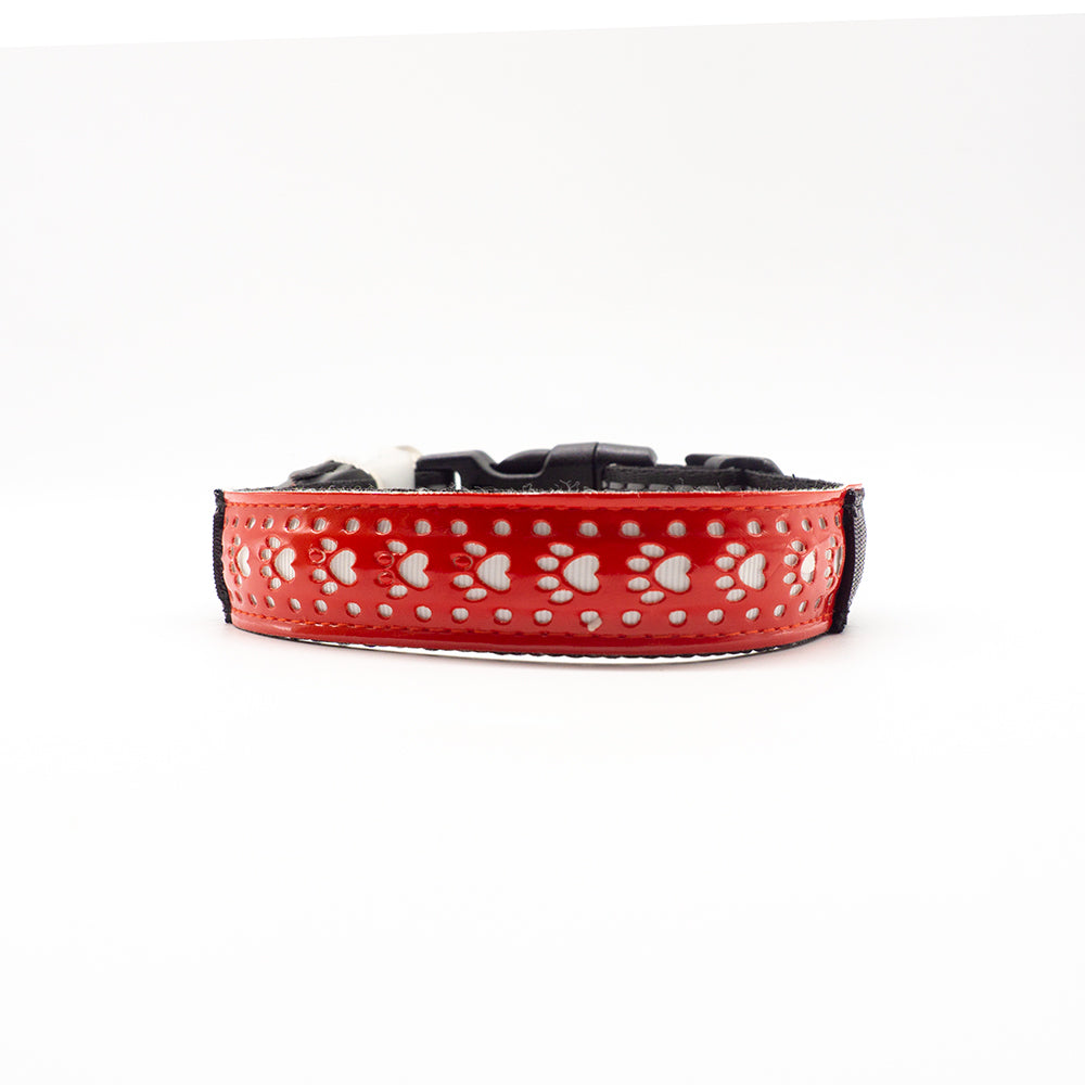 Collare Luminoso con Fantasia per Cani